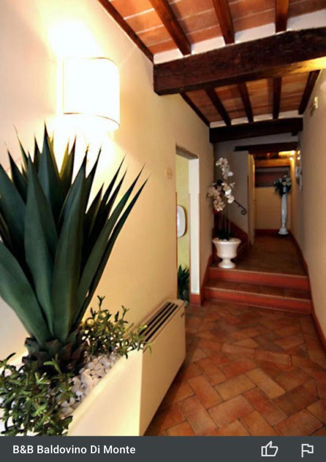 Baldovino Di Monte Bed & Breakfast