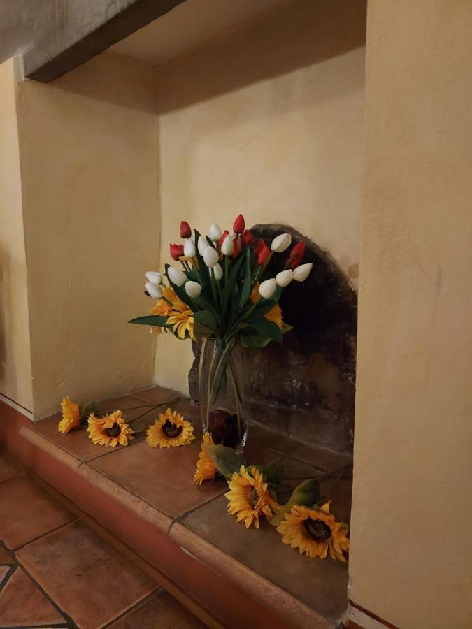 Bed & Breakfast Baldovino Di Monte Monte San Savino